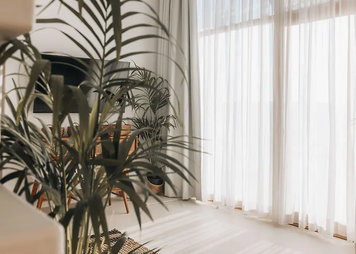 酒店 Divino Caldera 3*